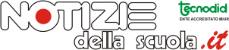 fad.notiziedellascuola.it